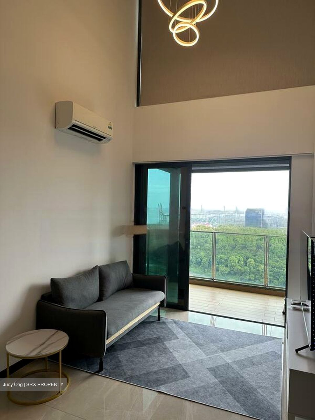 Normanton Park (D5), Apartment #454340681